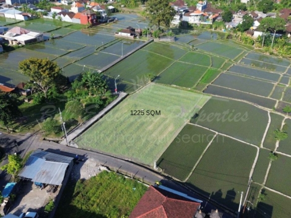 rice field view land for leasehold sale in buduk residential zone ln035 3