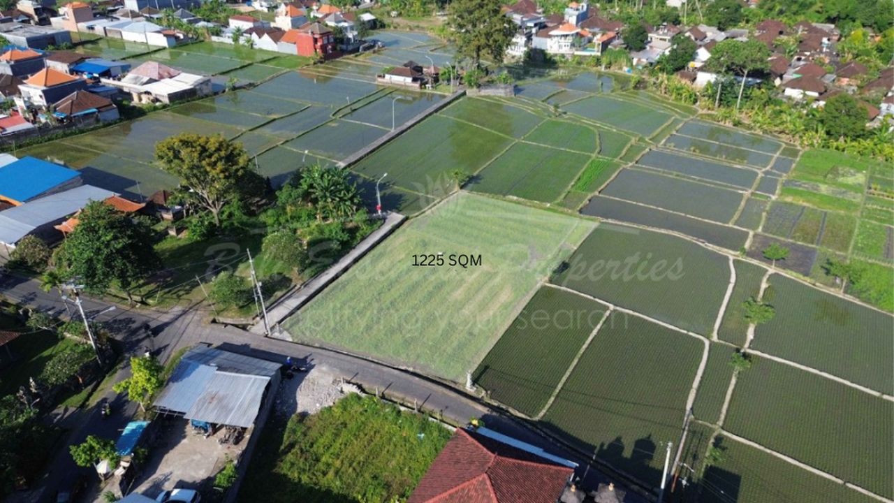 rice field view land for leasehold sale in buduk residential zone ln035 3