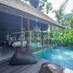 TROPICAL 1 BEDROOM VILLA FOR RENT AND FREEHOLD SALE IN UBUD - WT023
