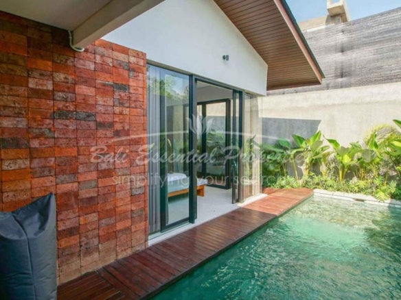 beautiful 2 bedroom villa for rent and freehold sale in ubud 3