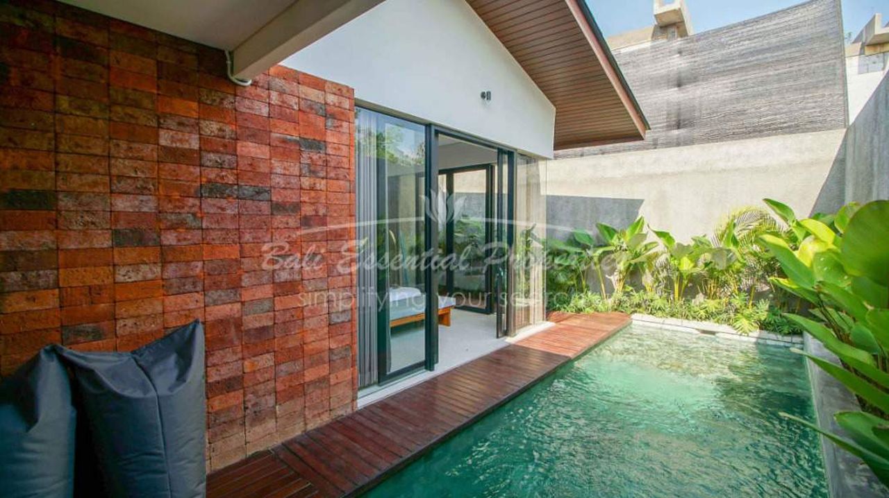 beautiful 2 bedroom villa for rent and freehold sale in ubud 3