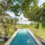rare ricefeild view 3 bedroom villa for rent in seseh bm202 2