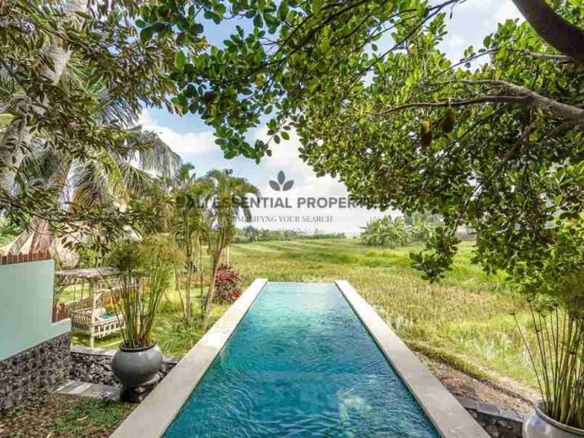 rare ricefeild view 3 bedroom villa for rent in seseh bm202 2