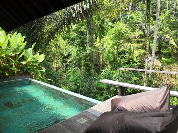 tropical 1 bedroom villa for freehold sale in ubud wt023