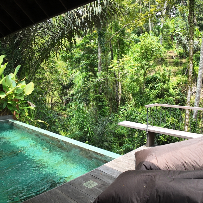 tropical 1 bedroom villa for freehold sale in ubud wt023