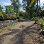 Developed land ready to build for freehold sale in Kuta Lombok 2