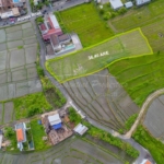 prime land for leasehold sale in munggu sc158 1