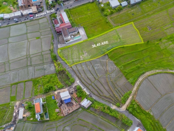 prime land for leasehold sale in munggu sc158 1
