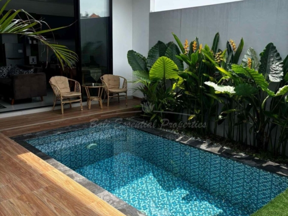 rice fields view 2 bedroom villa for rent in cepaka ak006 1