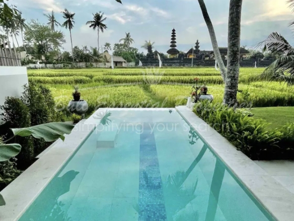 ricefield view 2 bed villa for rent in seseh bm329 1