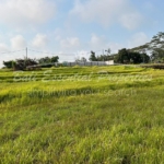 plot of land for leasehold sale in beraban nyanyi sc164 1