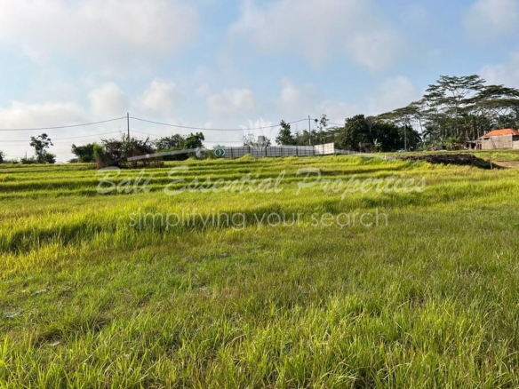 plot of land for leasehold sale in beraban nyanyi sc164 1
