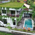 ricefield view 7 bedroom villa for rent and sale in ubud bm465 19