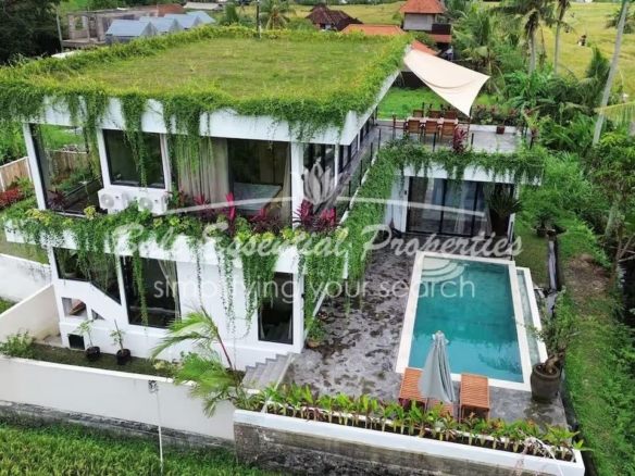 ricefield view 7 bedroom villa for rent and sale in ubud bm465 19