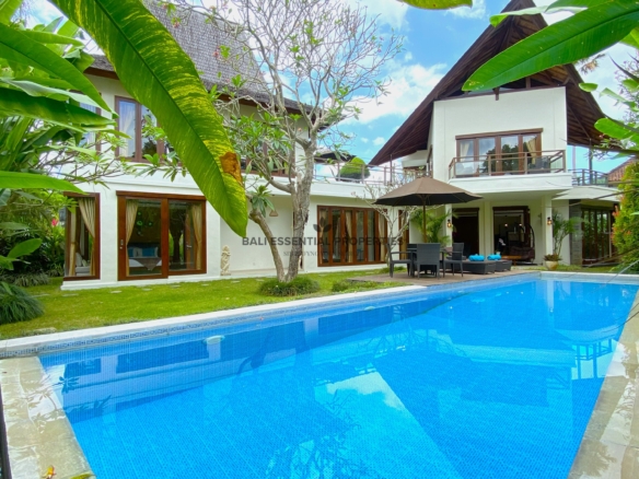 IMG 6533