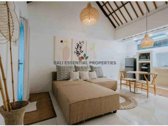 modern 1 bedroom villa for rent in canggu sc209 3