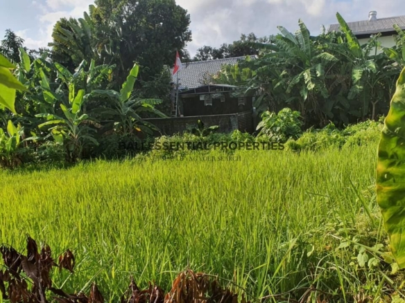 land for leasehold sale in canggu bm495 1