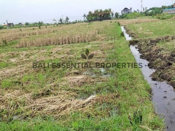prime land for freehold sale in pasut beach tabanan bm496 1