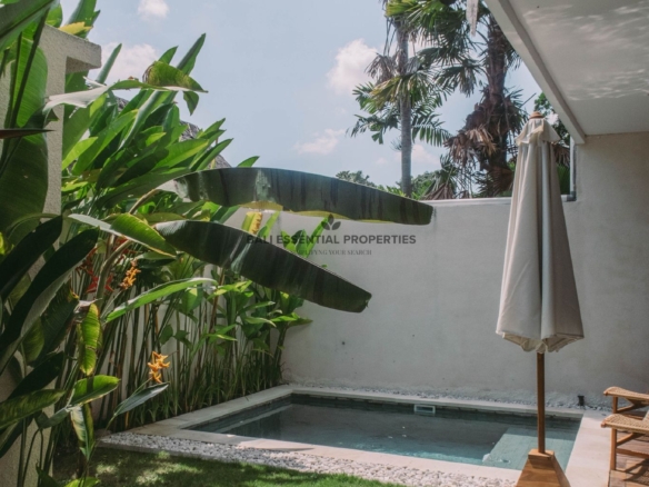 cozy 2 bedroom villa for rent in canggu bm513 (3)