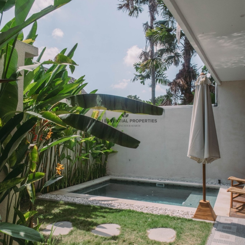 cozy 2 bedroom villa for rent in canggu bm513 (3)
