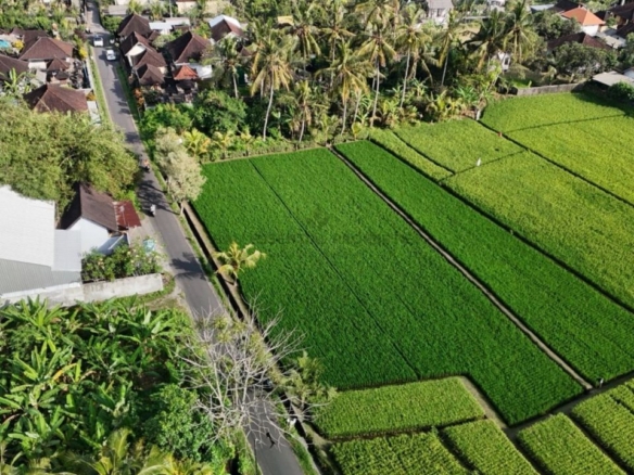 prime land for leasehold sale in kaba kaba tabanan ta035 5