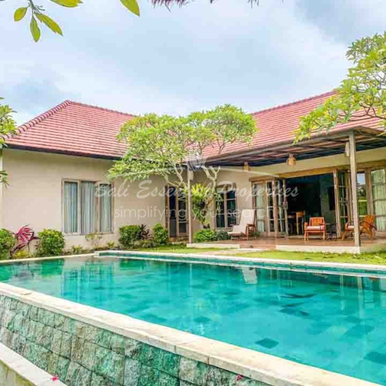 ricefield view 4 bedroom villa for yearly rent in pererenan wt031 1