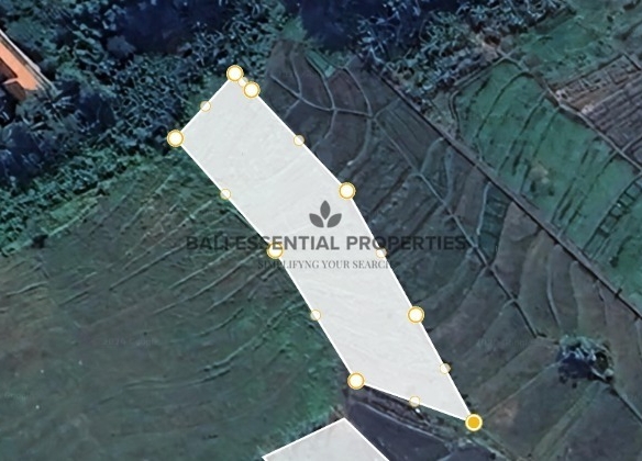 rice field view land for leasehold sale in tumbak bayuh ra038