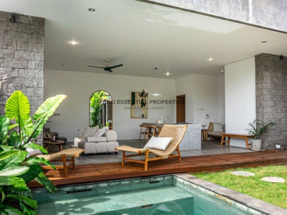 brand new 2 bedroom villa for rent in canggu bm569